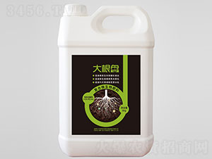 ����P��(f��)��΢�������-��������