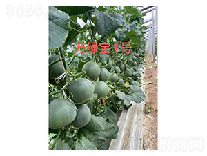 ��ϷN��-�f�G��1̖(h��o)-���S�r(n��ng)�I(y��)