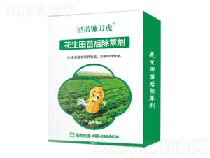 �����������݄�-���Z砵���-�Z�����r(n��ng)�I(y��)