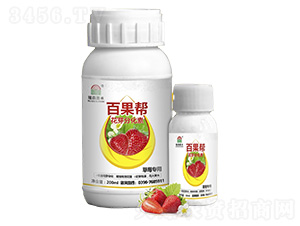 草莓專用花芽分化素-百果幫-瑞森嘉禾