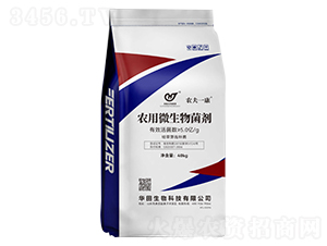 5�|�r(n��ng)��΢�������-�r(n��ng)��һ��-�A������