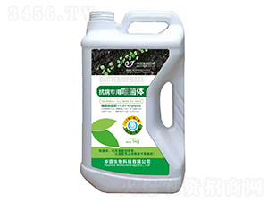 ���������ɾ��w-�A������