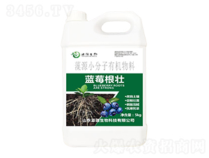 藍莓根壯藻源小分子有機物料-源疆生物