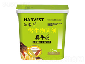 微生物菌劑-真牛-沃富丹-田思雨農(nóng)業(yè)