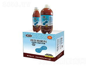 ΢�������-���Ļ�-���_