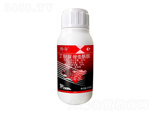 40%�����塤���x����-��(sh��)�Z-����¡����