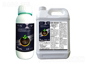 9%���ǡ������-�ƾ�-����¡����