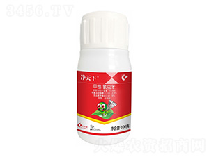 11.6%�׾S�����x(ch��ng)��-������-����¡����