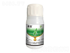 45%���h(hu��n)���׾���-����-����¡����