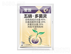 40%����������`-�۸�-����¡����