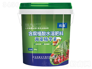 ���徫�A��-ݻ��-������ 