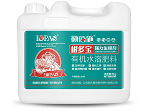 ����������-������-�հ�ʩ-����ʩ