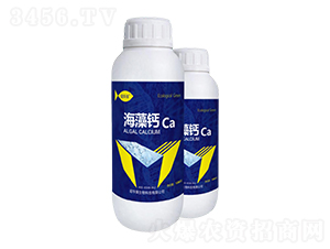 �����}-���A��