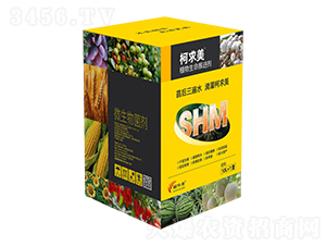 ֲ���������M(j��n)��-������-���A��