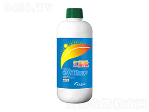 �R����-���A��