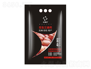 ��������ˎ-��(zh��n)��6̖-��ţ���H