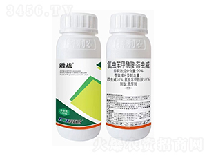 20%���x�������������x��-͸��(zh��n)-�����r