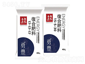 �ߝ��������͏�(f��)�Ϸ���-����