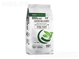 ���}�V����Ԫ�ط���-����-����ķ