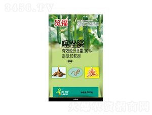 10%�����GR-�[��-һ�[�Ƽ�