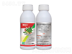 20%���x(ch��ng)�����x(ch��ng)���Ҹ�����SC��-���L(f��ng)��-�л�����ƌW(xu��)