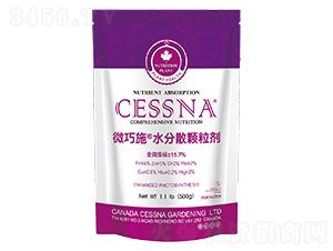 ΢��Ԫ��ˮ��ɢ�w����-΢��ʩ-�ЅR�r(n��ng)�I(y��)