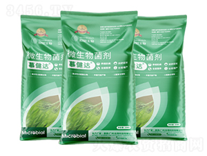 ΢�������-Ľ���_(d��)-Ľ������