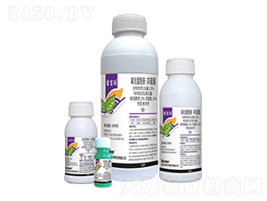 20%���ھ�������������Ҹ���-¶����(r��n)-��������