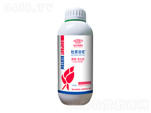 ���ǡ��ͽ���-�Ű��-�Ű�