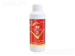 �n�D�����ɫ����-��������