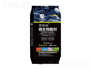 ΢�������-�����-��������