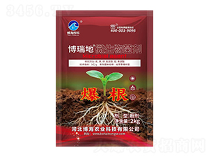 ΢�������(����)-�����-��������