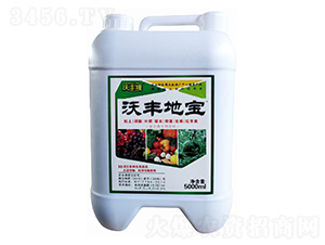 ���S�،���(f��)��΢�����-���S¡-��(qi��ng)����