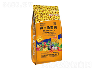 ΢�������-���n��-�Ą�(chu��ng)��ţ