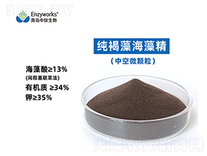 純褐藻海藻精(中空微顆粒)-青島中肽生物