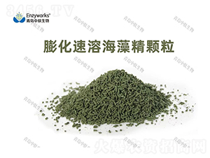 膨化速溶海藻精顆粒-青島中肽生物