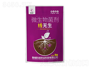 ΢�������-���o��-��(chu��ng)�|�z-�Ƶ��A