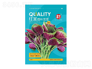 �{�˷N��-�t���A�~�{��-���S�r(n��ng)�I(y��)