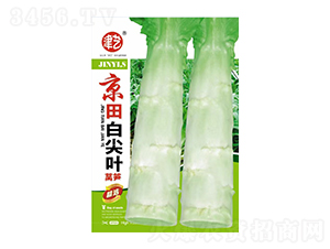 �n�S�N��-����׼��~-���S�r(n��ng)�I(y��)