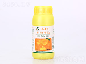 ֲ�ﾫ��-��ϲ��-���