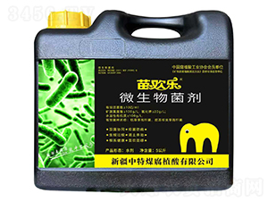 ��g��΢�������-����ú