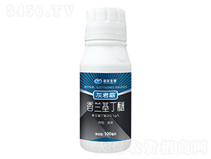 ���m������-�Ҿ���-�Z������