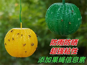 �G�T���Tω��-�(l��)������