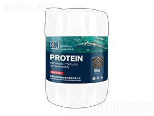 ø���~����-�Pِ�Z