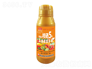 �Ϲ��߲˶������M�ڇ���5̖-�����r��