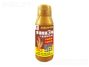 С�����{���������3̖-�����r��