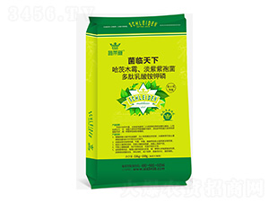 ���R����-ʩ�R��