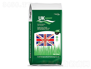 Ӣ��UK-Cardiff���Ϸ�G1-���Ϸ� 