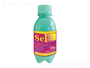 100g�������L��ɫ��������1̖-�����r(n��ng)��