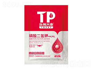 ���W������������-�^�ȴ���-��������